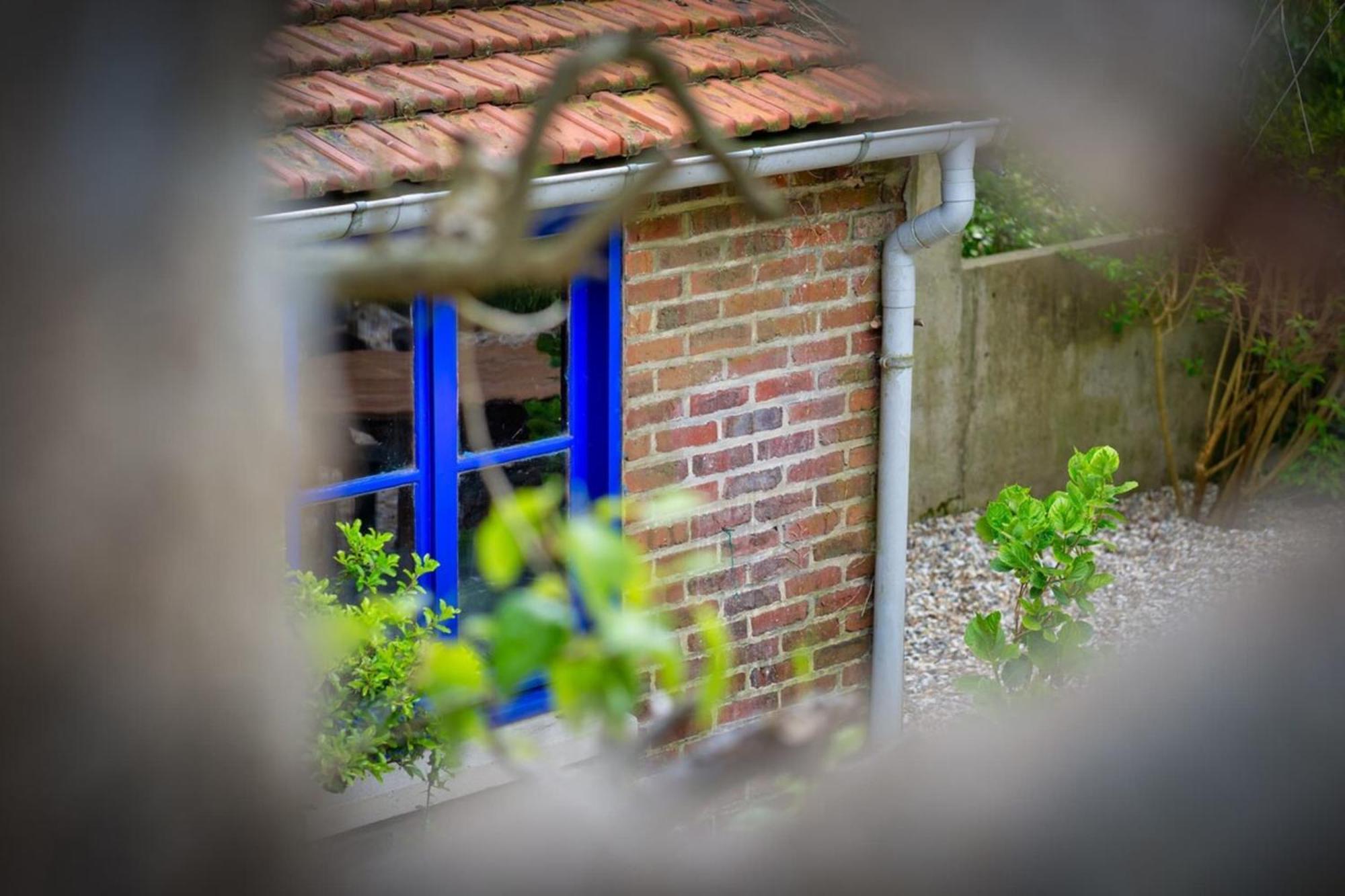 Manuel : Belle Maison A Bois-Guillaume ภายนอก รูปภาพ